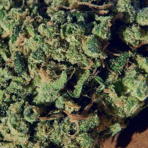 Buy Durban Poison Marijuana Strain online
