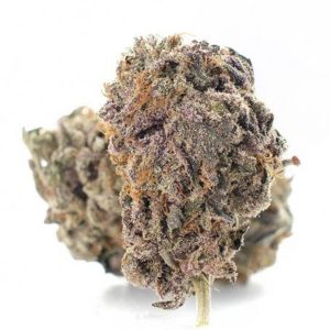 Buy Purple Dragon cannabis (AAAAA)