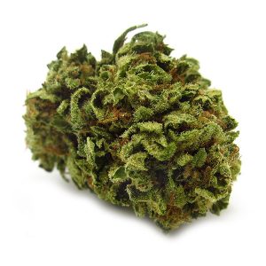 Buy cheap Chem Willie Marijuana Online