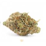 Tuna Kush